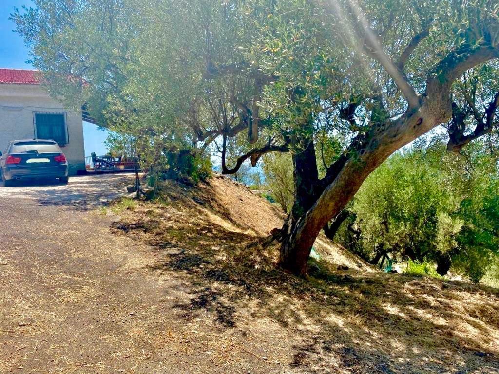 אשאה Villa Lo Scoglio מראה חיצוני תמונה